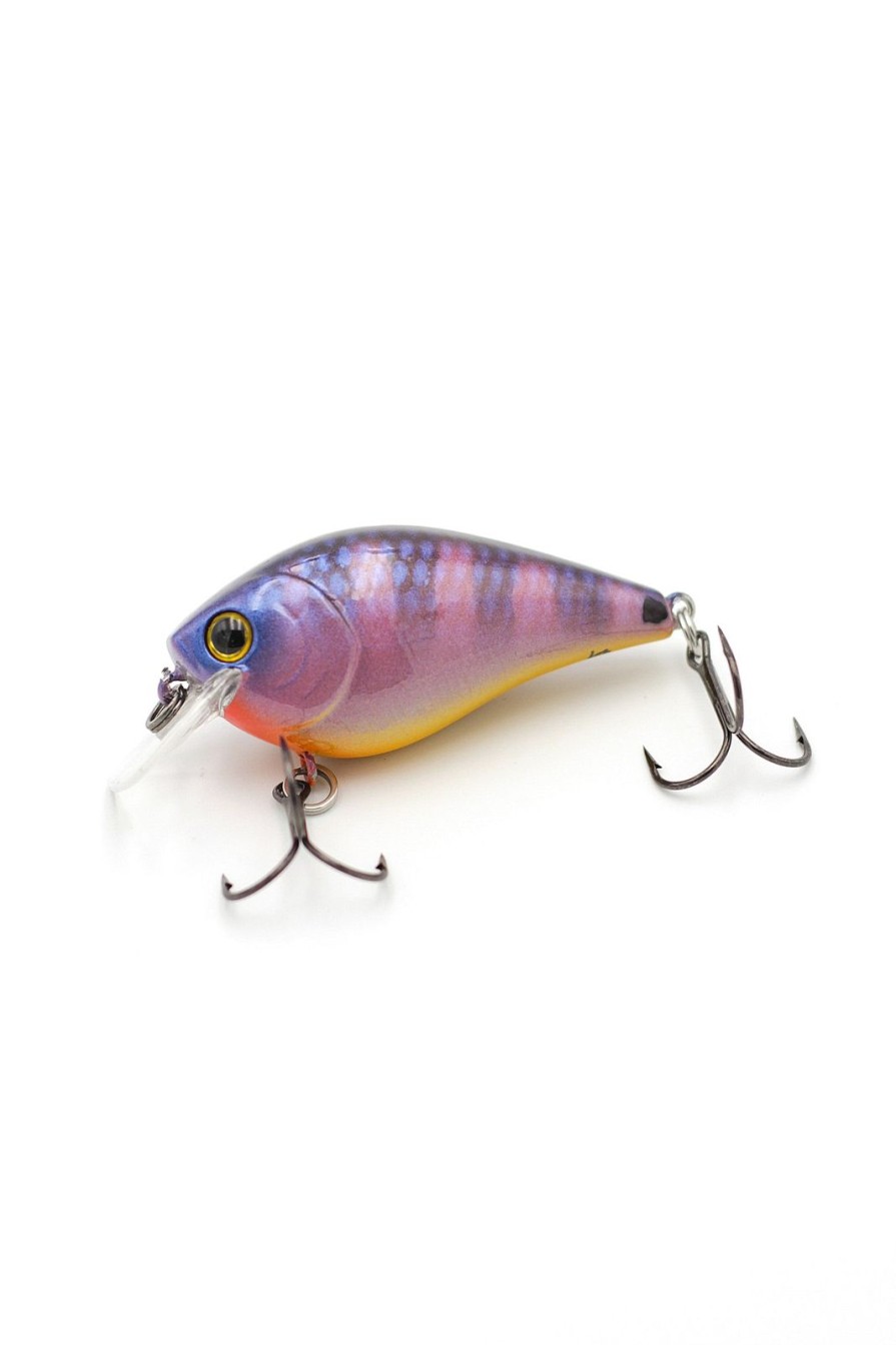 Fishing Tackle Kraft | Purple Mayan Cichlid /Square Bill - Tackle Kraft