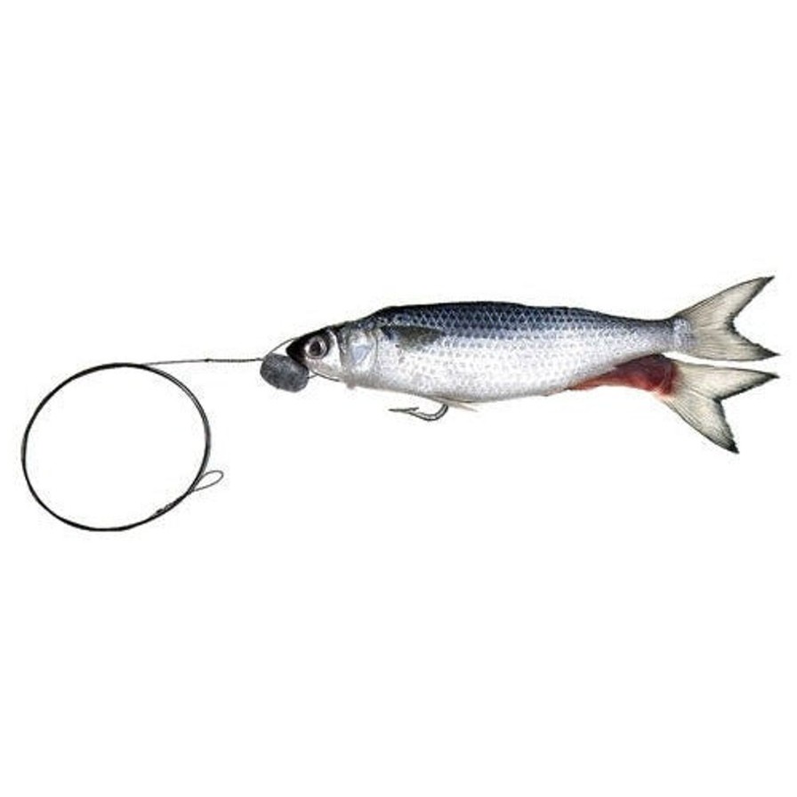 Bait One Stop Marine | Mullet Wire Rigged Split Tail 1Pk - Frozen