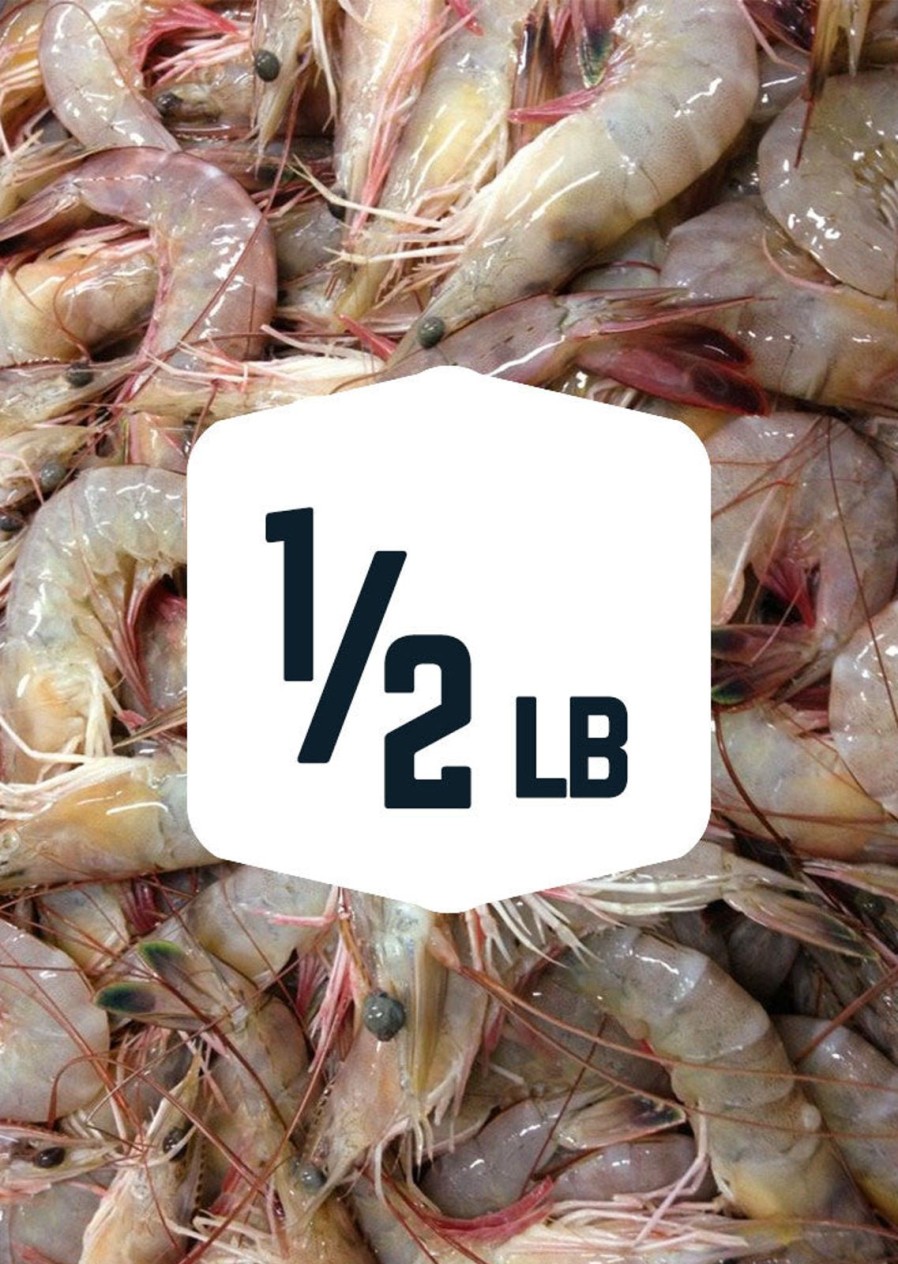 Bait One Stop Marine | Shrimp 1/2 Lb - Frozen